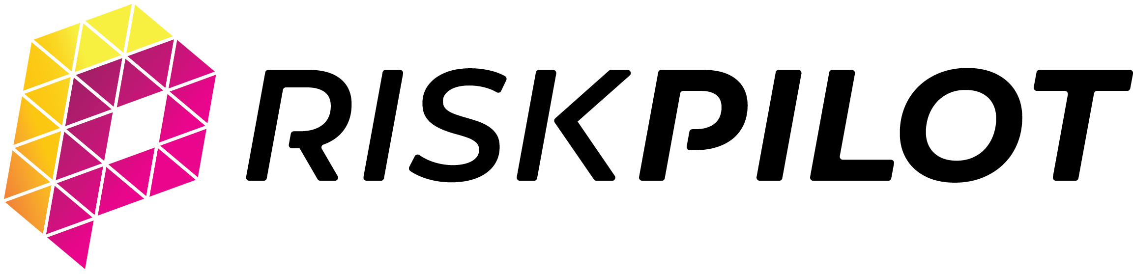 RiskPilot